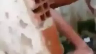 تدخل علب ابن زوجها وهو نليم