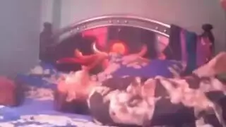 مركز إباحي عربي مجاني: مقاطع مصريّة صريحة