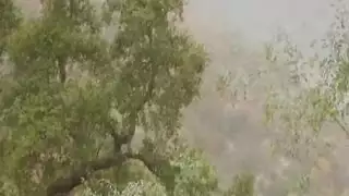 سكسي سمينه سكسي سمينه سمينه عجوز عجوز نيكعجوز سمينه