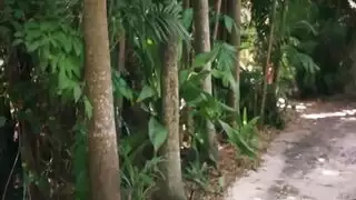 جنس خارجي عنيف: مص شديد وفعل متوحش