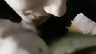 اغتصاب بنات صغيره في الجامعه