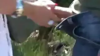 أنبوب إباحي مجاني ممتاز: كاميرات جامحة ومشاهد خادشة