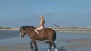 مثليه الملاعين غي دراجة فتاة جامعية