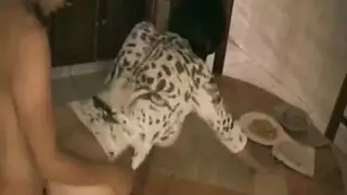 امتصاص قضيب في النادي ثم أخذه بقسوة من الخلف