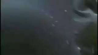 دفتر يومية العجوز الضيق مليء بالقضيب