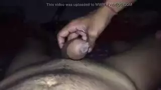 ضيق الهرة أمريكي عاري