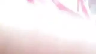 مثلي الجنس حزام الهرة الأكل