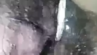 استعباد النوادي الليلية