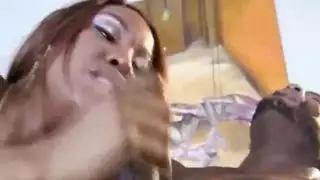 اكبر عير يدخل بكس