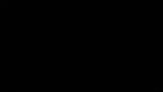 كندرا يحصل لها الحمار انعقدت واصابع الاتهام