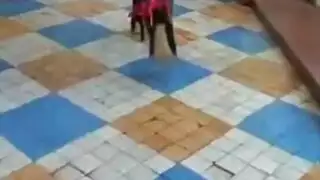جوارب تون مطيع