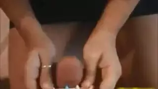 التعارف الديك الأسود