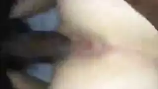 إيراني إفشل الغوص حديقة