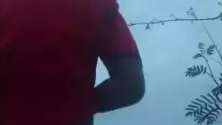 غابة مشعرات تحنيط