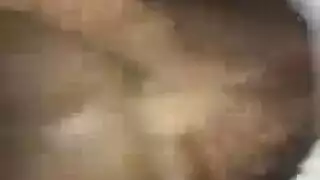 خشب الأبنوس الجنس الشرجي الحمام نطفة