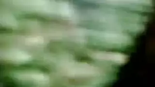 الديك ضخمة قريب التبول