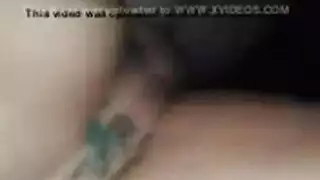 أشرس انواع الكلاب