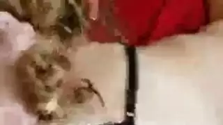 جميع الثقوب متجر التمارين الرياضية