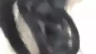 نيك المنقبه امينه