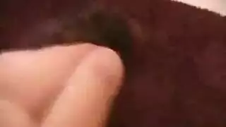 كلبة تصرخ يتمزق شرجها بواسطة عمود أسمر ضخم