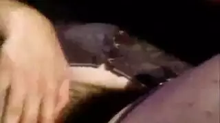 بورنو كلاسيكي: أثداء طبيعية جميلة في الحركة