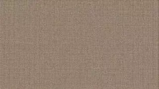 رجل زنجي زيه كبير ينيك شاب صغير ابيض ويركب فوق ك