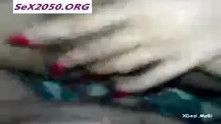 سفاح حيوانات صعب: مغامرة الجدة في الحظيرة