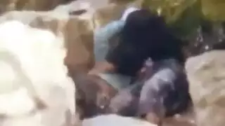 زانق واحده في التوكتوك