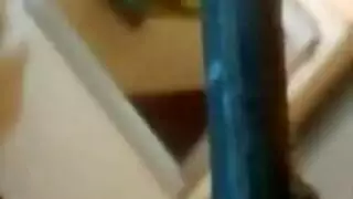 سراويل قطن ابتلاع تجميع مجموعة من ثلاثة أشخاص