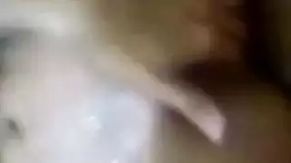 بوكاكي في غرفة التكاثر: نضح بطون حوامل