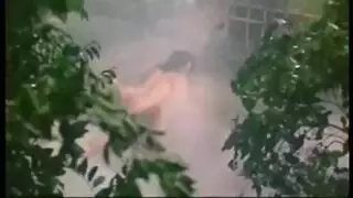 اللبنانيه نور فنانه